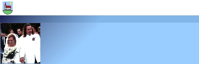 Top background with wedding picture