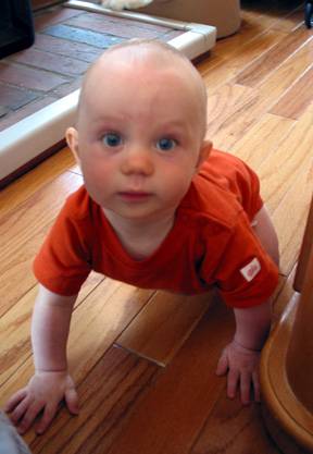 Joël crawling (8 months)
