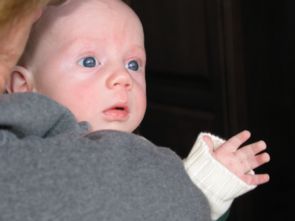 Joël sees his first Christmas tree