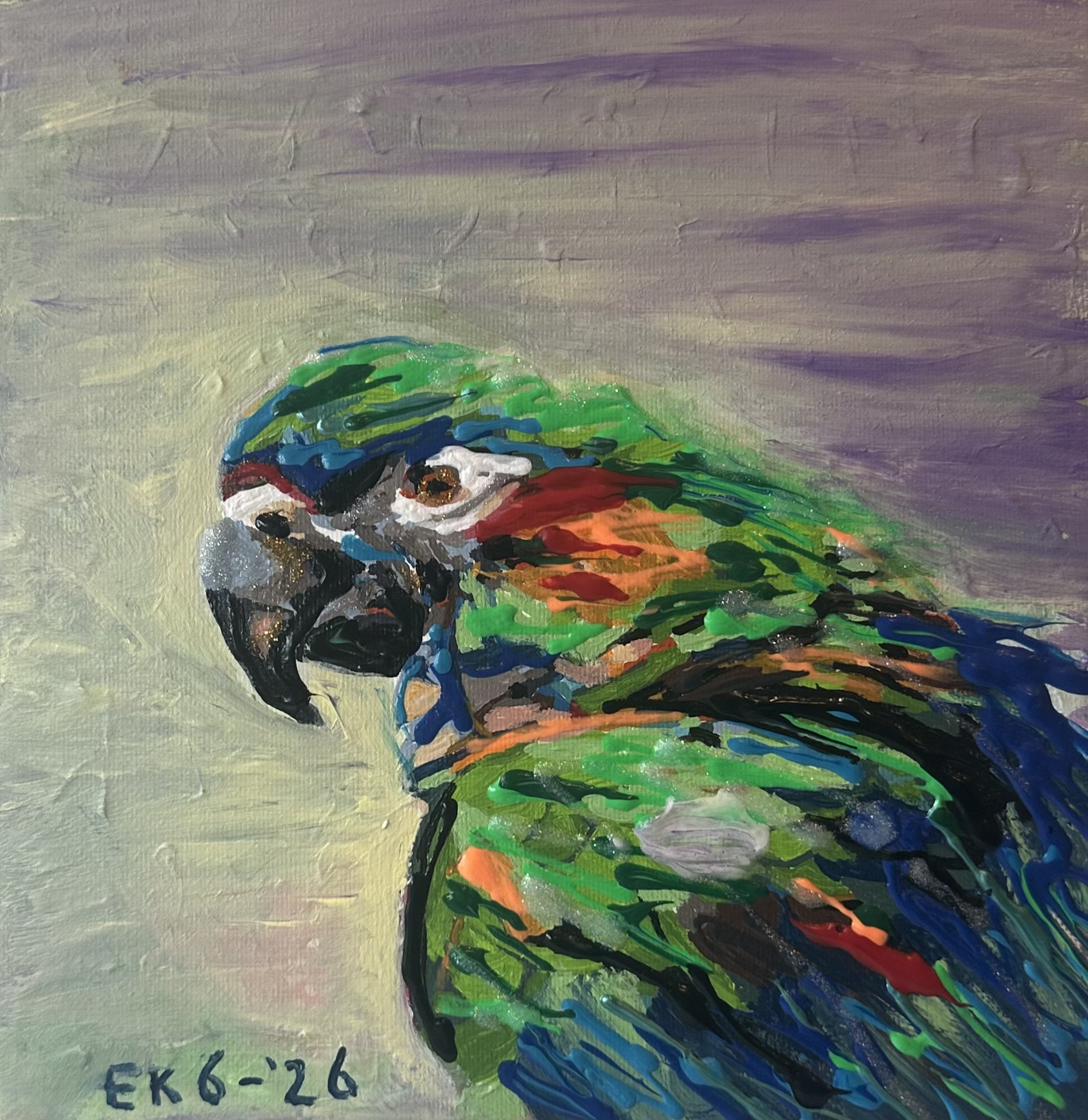 pretty bird